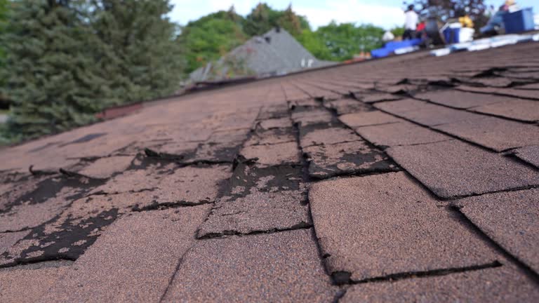 Best Flat Roofing  in South Roxana, IL